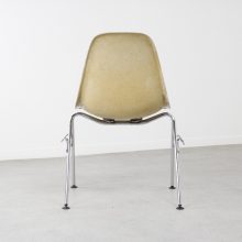 Early vintage parchment DSS fiberglass chairs by Charles & Ray Eames for Herman Miller 1950s 4