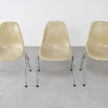 Early vintage parchment DSS fiberglass chairs by Charles & Ray Eames for Herman Miller 1950s 8